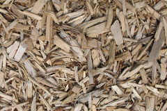 biomass boilers Skelmorlie