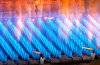Skelmorlie gas fired boilers